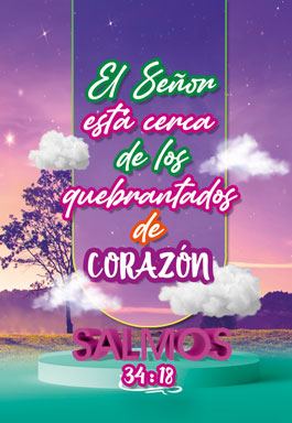 Bolsillo Salmos